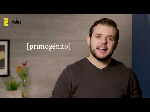 Diferencias entre las traducciones Bíblicas - Reina Valera 1960 y Reina Valera Revisada