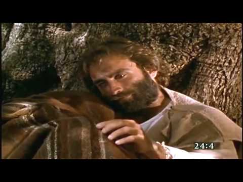 Mateo Cap. 24 - Señales antes del fin - La Venida del Hijo del Hombre