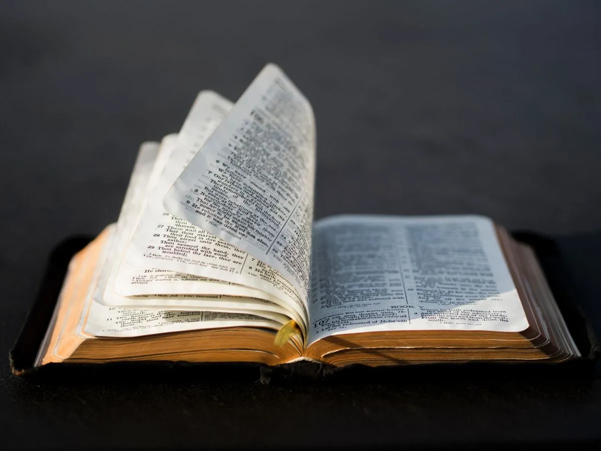 versiculo del dia biblia